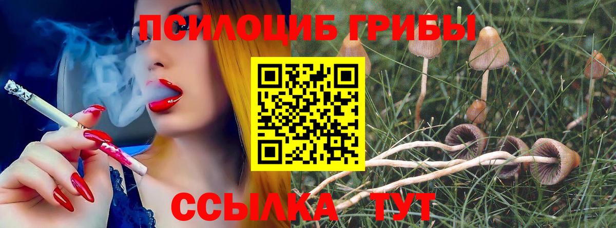 Лянтор  Галлюциногенные грибы Psilocybine cubensis  Вход с VPN 