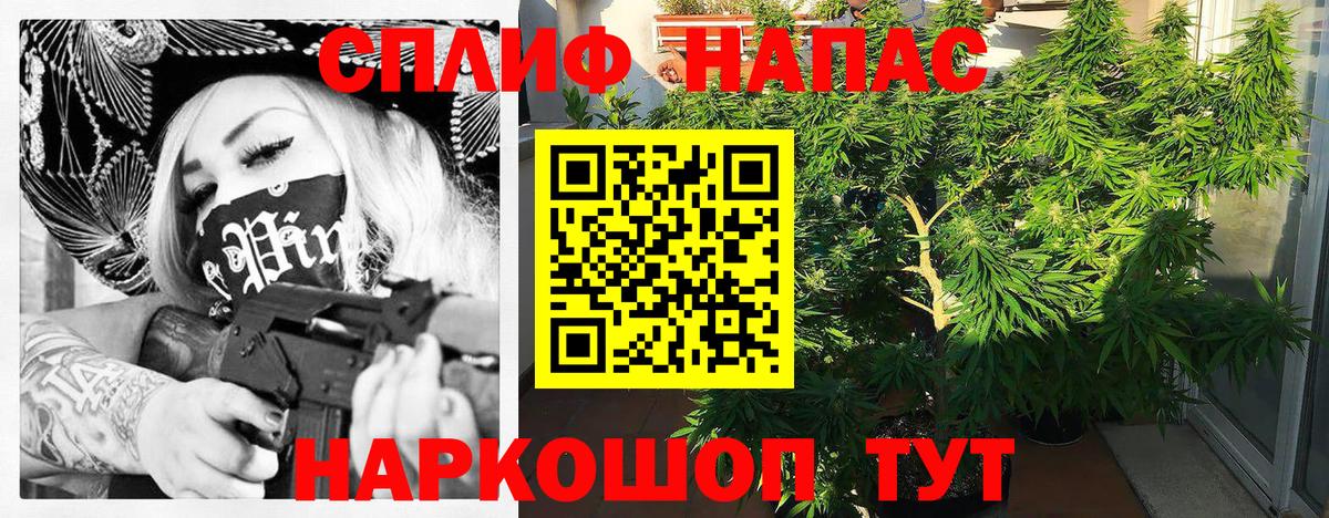 Бошки Шишки Amnesia Лянтор